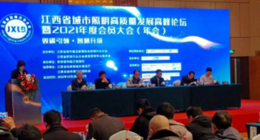 开云app登录入口-开云(中国)受邀参加江西省城市照明高质量发展高峰论坛